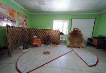 “Таван-Эрдэнэ” уралдаан зохион байгуулагдлаа.